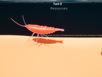 i LOVE shrimp they are so shrimpy